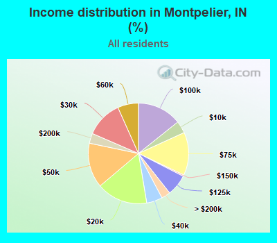 Income distribution in Montpelier, IN (%)