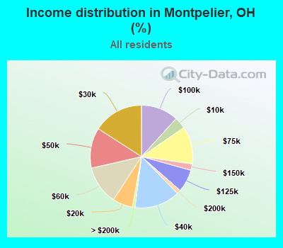 Income distribution in Montpelier, OH (%)