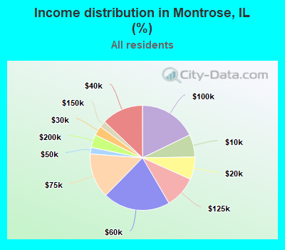 Income distribution in Montrose, IL (%)