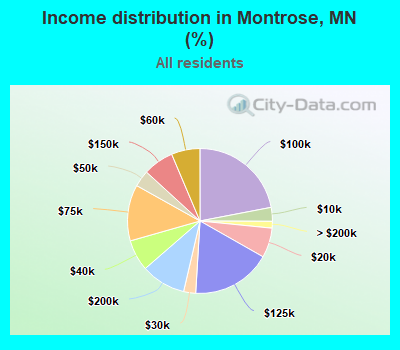Income distribution in Montrose, MN (%)