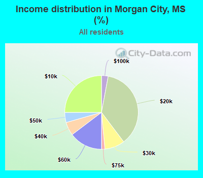 Income distribution in Morgan City, MS (%)
