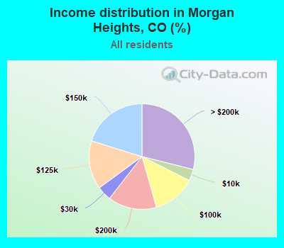 Income distribution in Morgan Heights, CO (%)