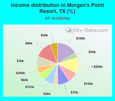 Income distribution in Morgan's Point Resort, TX (%)