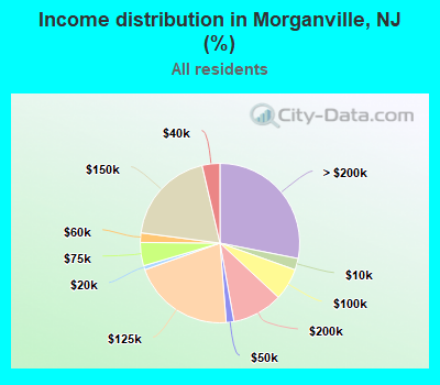 Income distribution in Morganville, NJ (%)