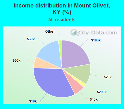 Income distribution in Mount Olivet, KY (%)