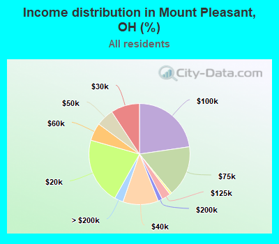 Income distribution in Mount Pleasant, OH (%)