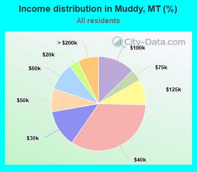 Income distribution in Muddy, MT (%)