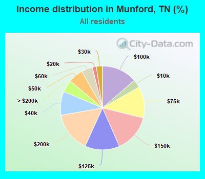 Income distribution in Munford, TN (%)