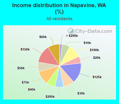 Income distribution in Napavine, WA (%)