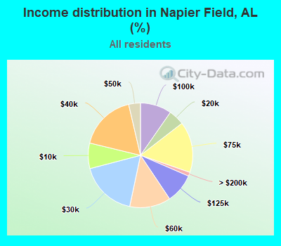 Income distribution in Napier Field, AL (%)