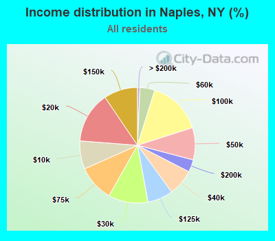 Income distribution in Naples, NY (%)