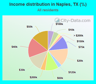 Income distribution in Naples, TX (%)