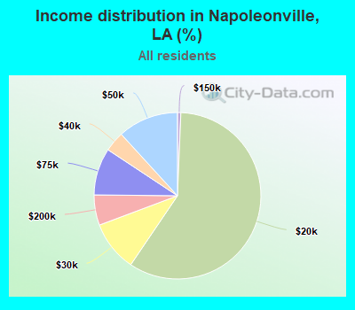 Income distribution in Napoleonville, LA (%)