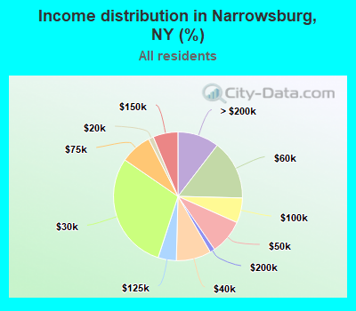 Income distribution in Narrowsburg, NY (%)
