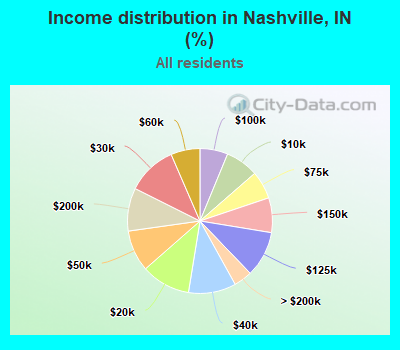 Income distribution in Nashville, IN (%)