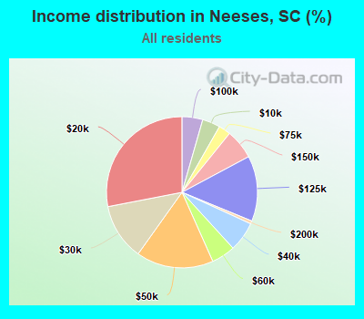 Income distribution in Neeses, SC (%)