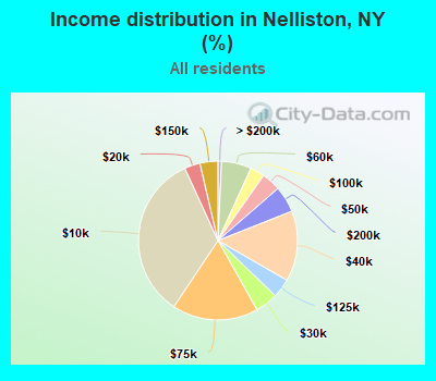 Income distribution in Nelliston, NY (%)