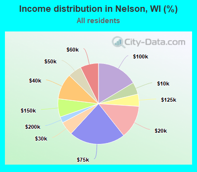 Income distribution in Nelson, WI (%)