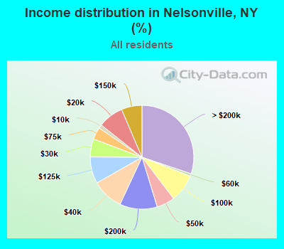 Income distribution in Nelsonville, NY (%)