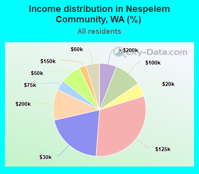 Income distribution in Nespelem Community, WA (%)