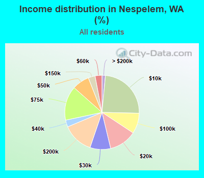 Income distribution in Nespelem, WA (%)