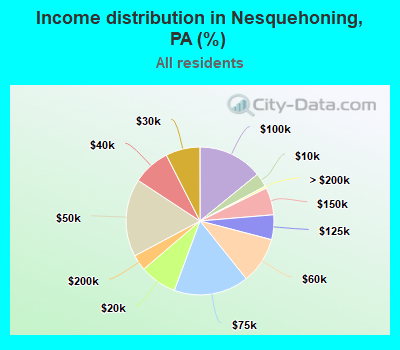 Income distribution in Nesquehoning, PA (%)