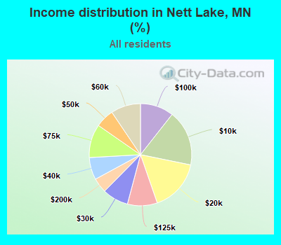Income distribution in Nett Lake, MN (%)