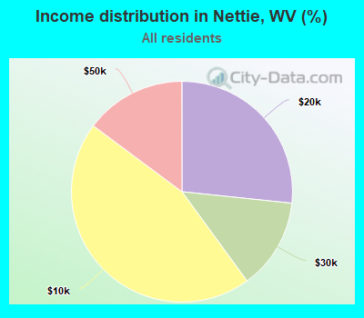 Income distribution in Nettie, WV (%)