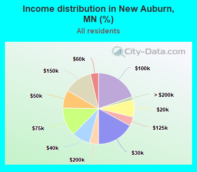 Income distribution in New Auburn, MN (%)