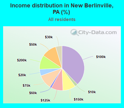 Income distribution in New Berlinville, PA (%)