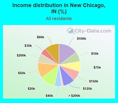 Income distribution in New Chicago, IN (%)