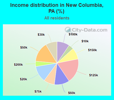 Income distribution in New Columbia, PA (%)