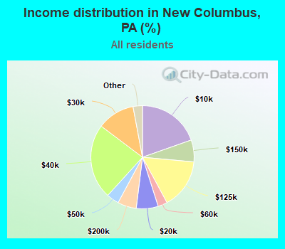 Income distribution in New Columbus, PA (%)