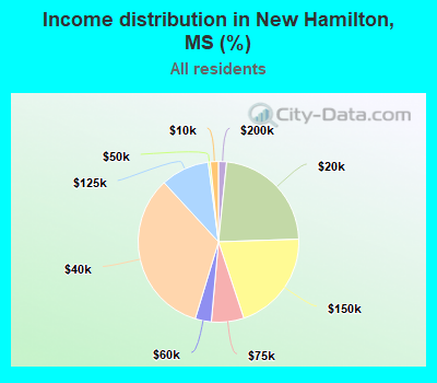 Income distribution in New Hamilton, MS (%)