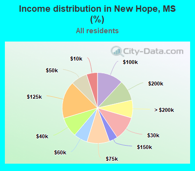 Income distribution in New Hope, MS (%)