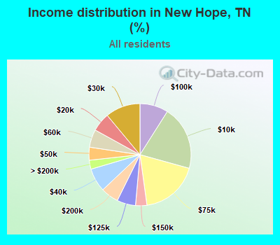Income distribution in New Hope, TN (%)