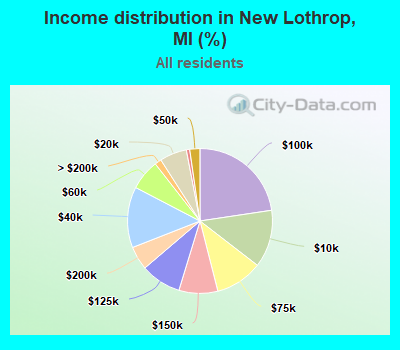 Income distribution in New Lothrop, MI (%)