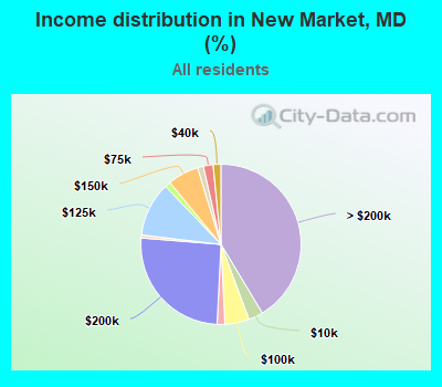 Income distribution in New Market, MD (%)