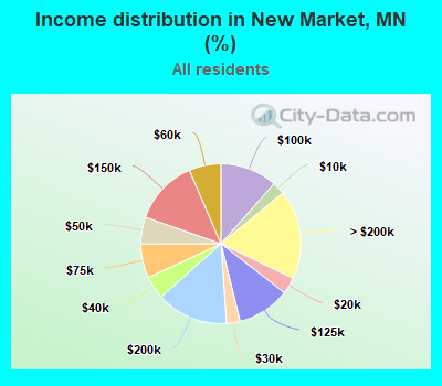 Income distribution in New Market, MN (%)