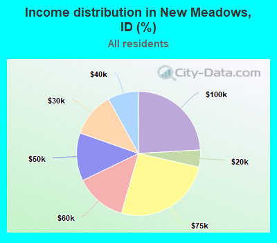 Income distribution in New Meadows, ID (%)