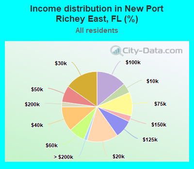 Income distribution in New Port Richey East, FL (%)