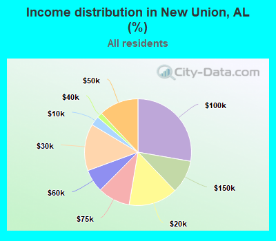 Income distribution in New Union, AL (%)