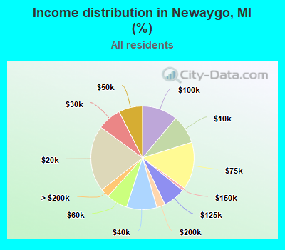 Income distribution in Newaygo, MI (%)