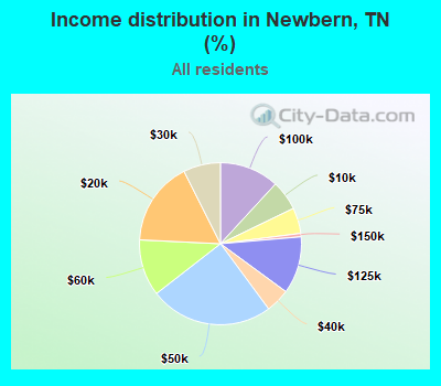 Income distribution in Newbern, TN (%)