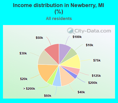 Income distribution in Newberry, MI (%)