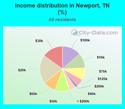 Income distribution in Newport, TN (%)