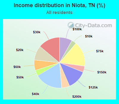 Income distribution in Niota, TN (%)