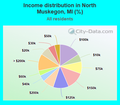 Income distribution in North Muskegon, MI (%)