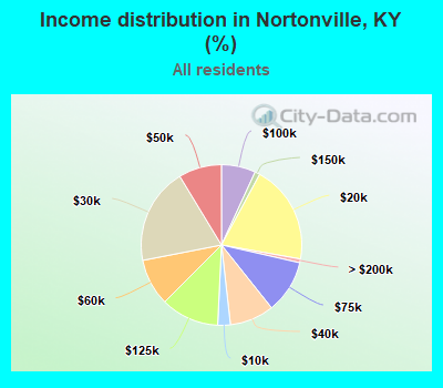 Income distribution in Nortonville, KY (%)