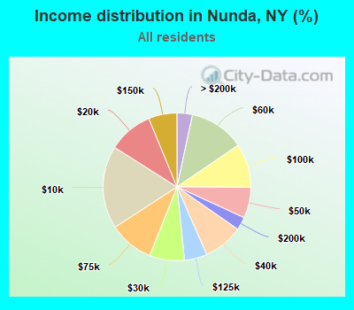 Income distribution in Nunda, NY (%)